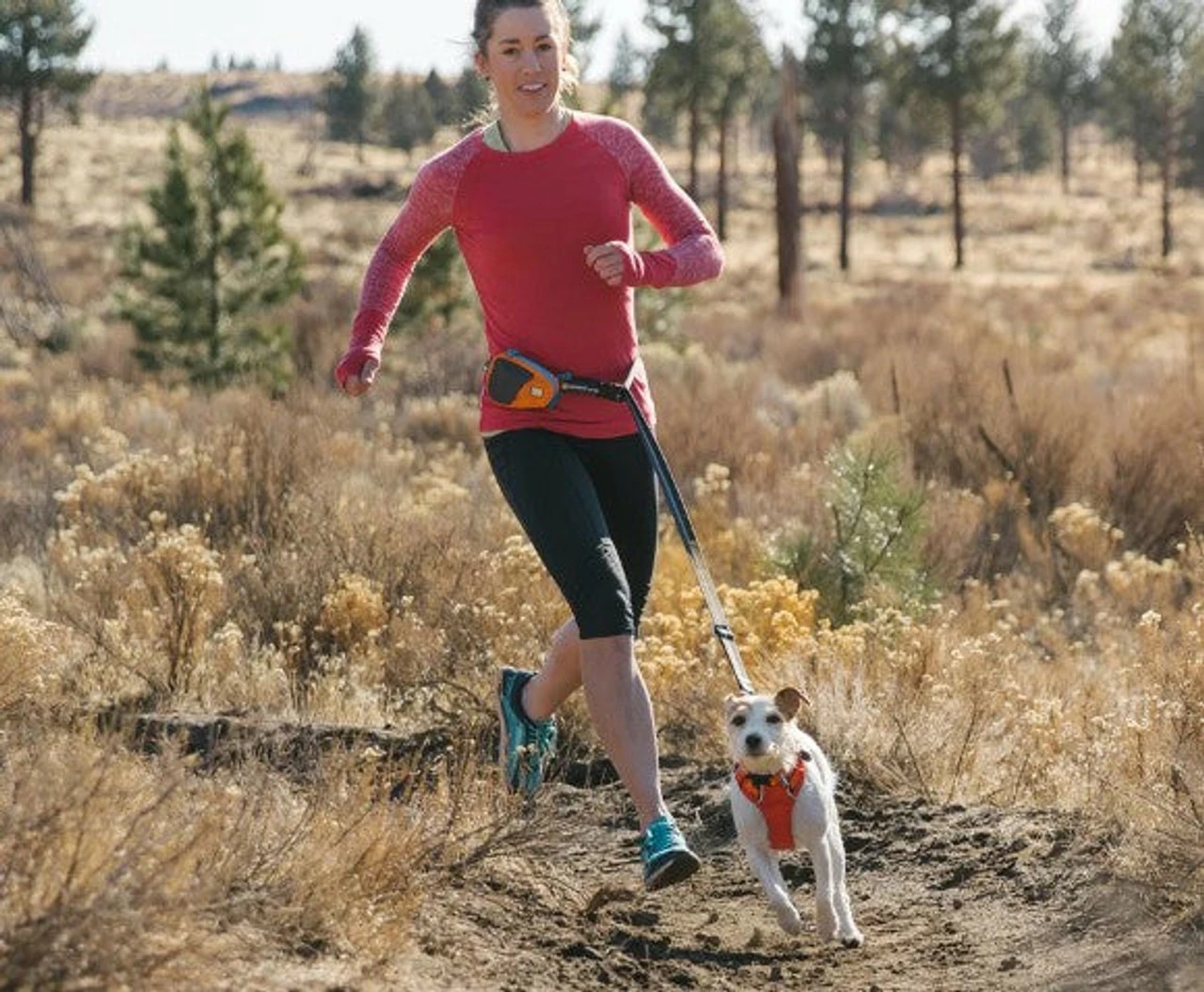 Ruffwear™ Stash Bag - Orange Poppy - Image 4