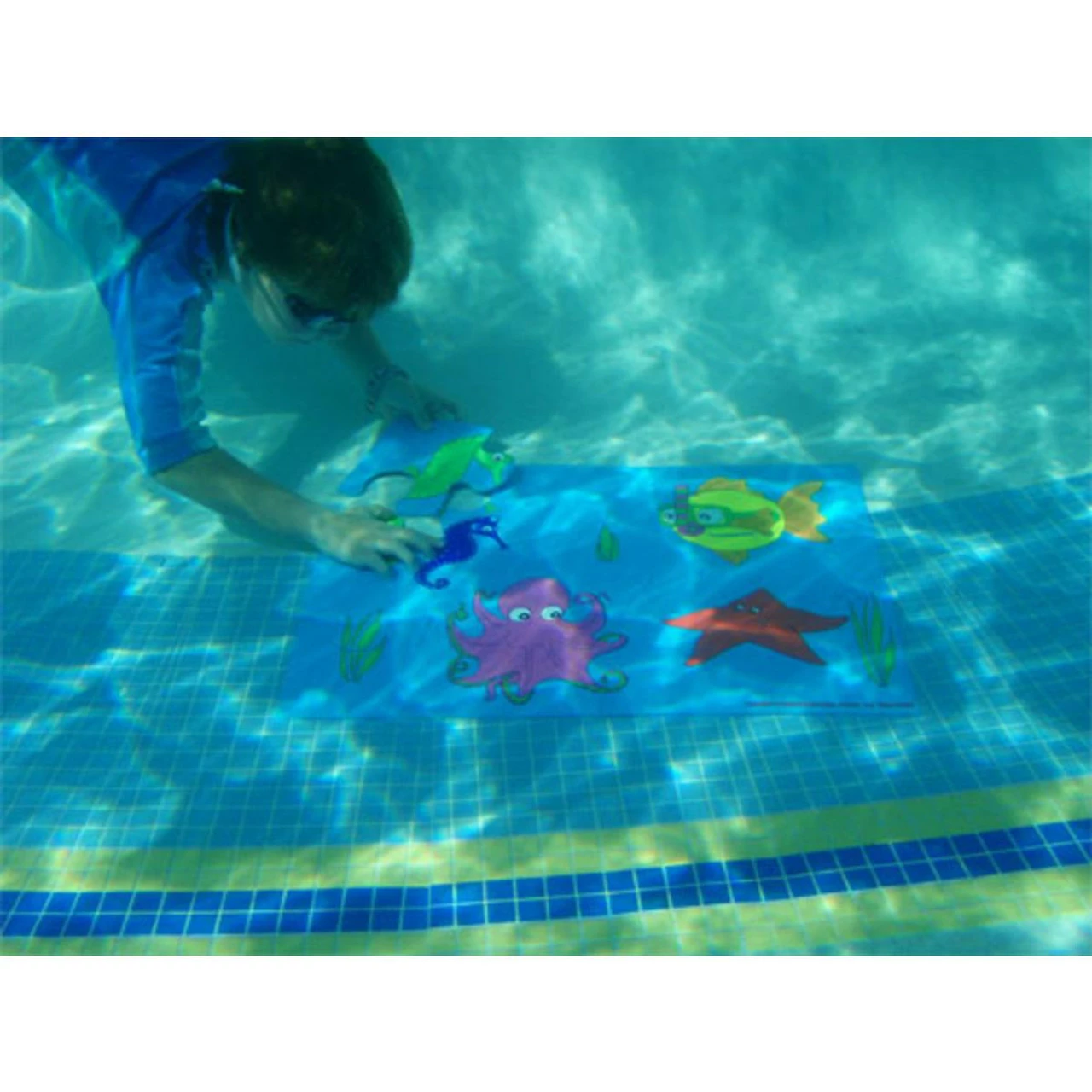 Ostrich Sinking Pool Puzzle - Image 3
