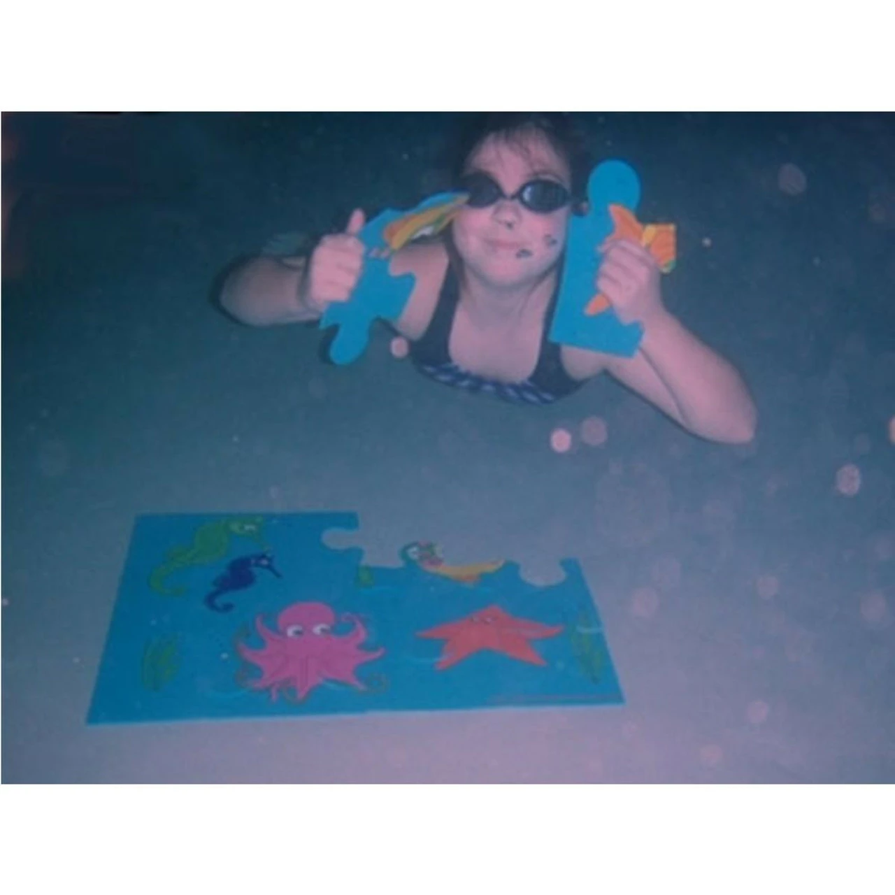 Ostrich Sinking Pool Puzzle - Image 4