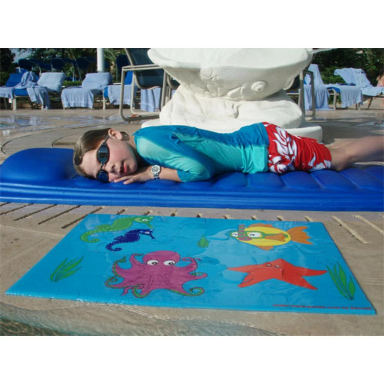 Ostrich Sinking Pool Puzzle - Image 2