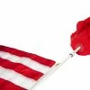 BeachBUB® Flag Pole With American Flag