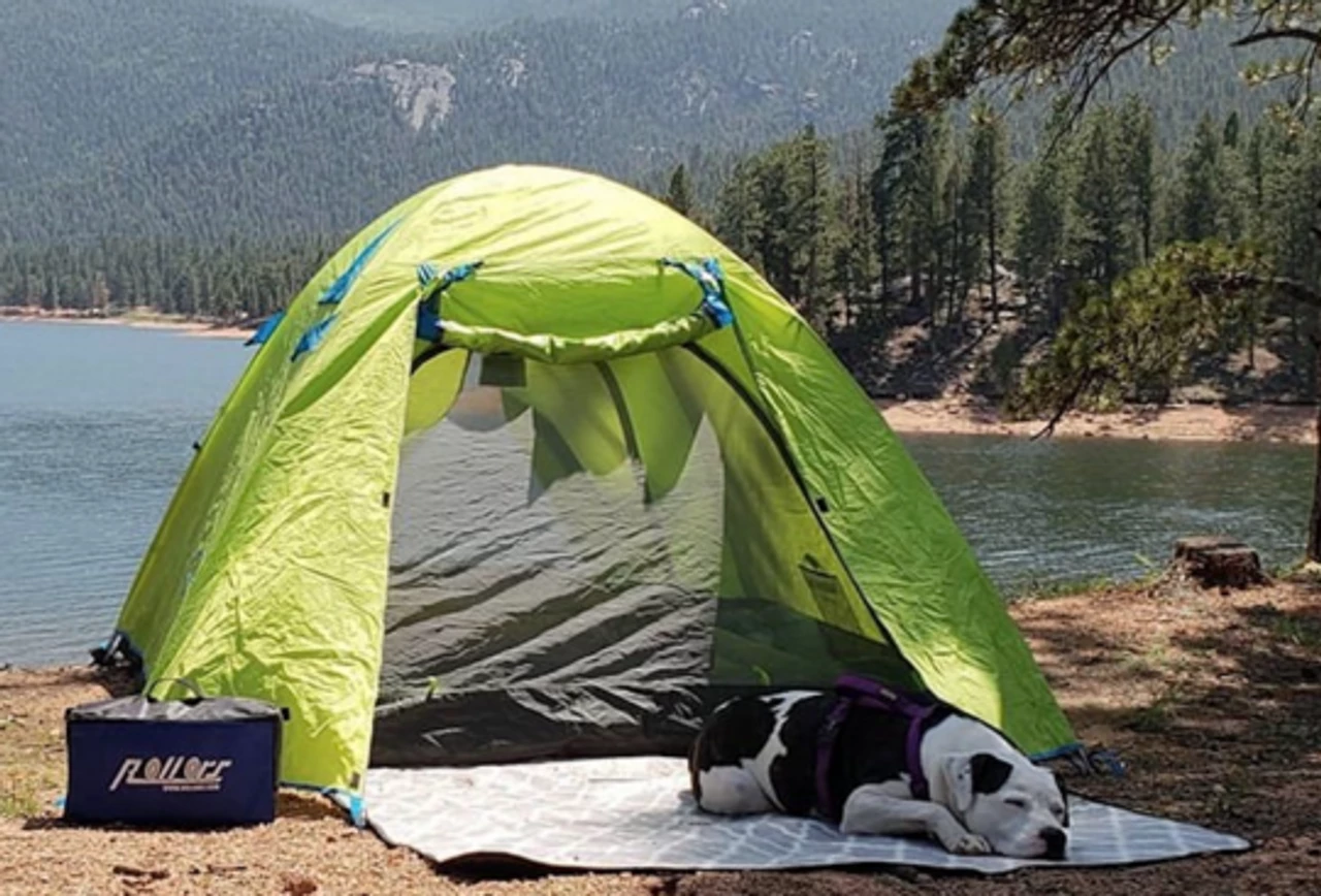 Rollors Lawn & Beach Game - Image 4