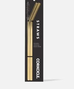 Corkcicle® Gold Tumbler Straws - 2 Pack