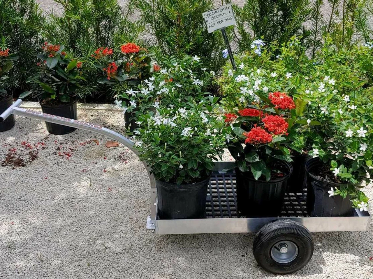 Alumacart 37in 2 Wheel UV Deck Wagon - Image 4